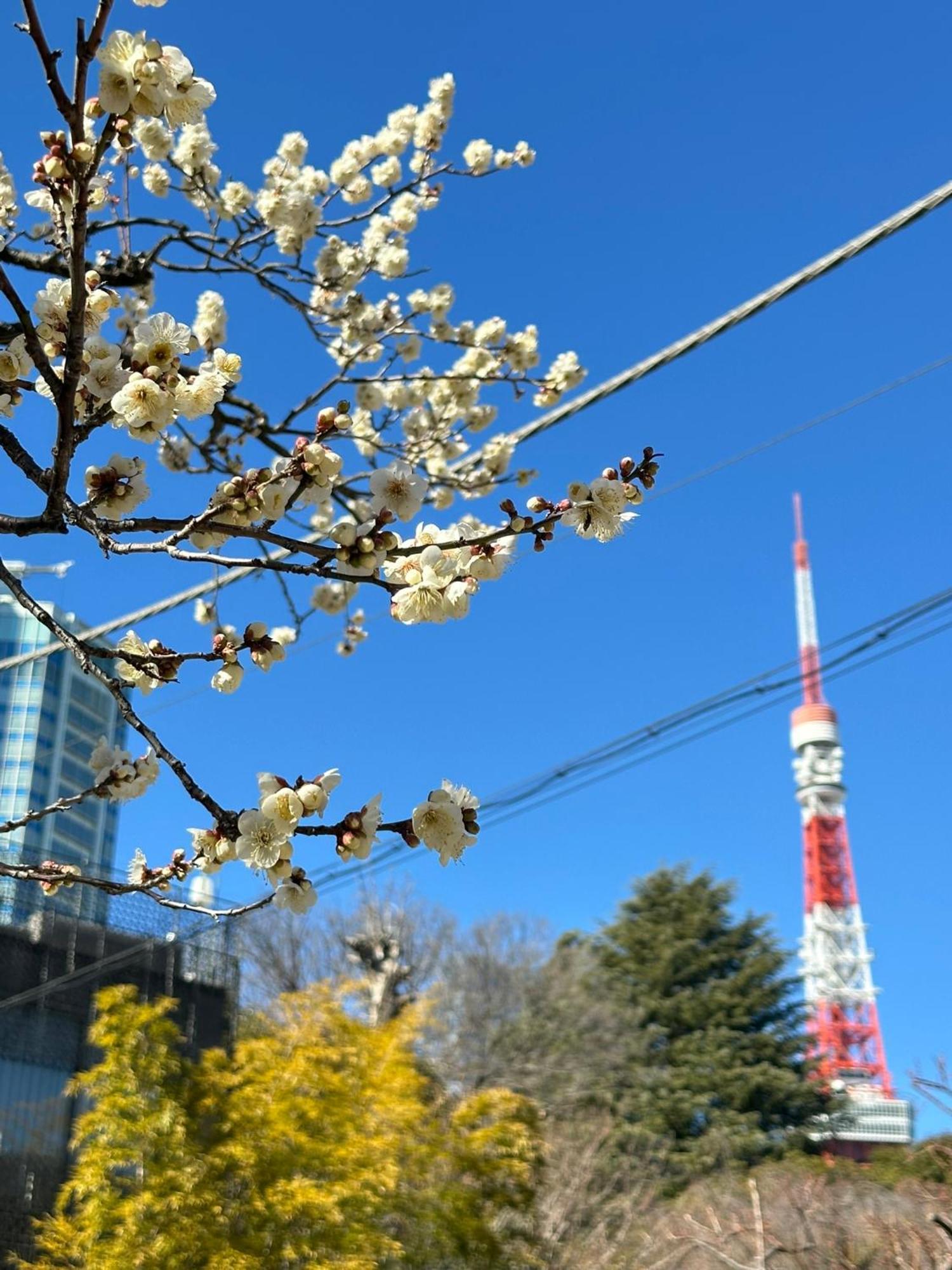 Rose Shiba Park 酒店